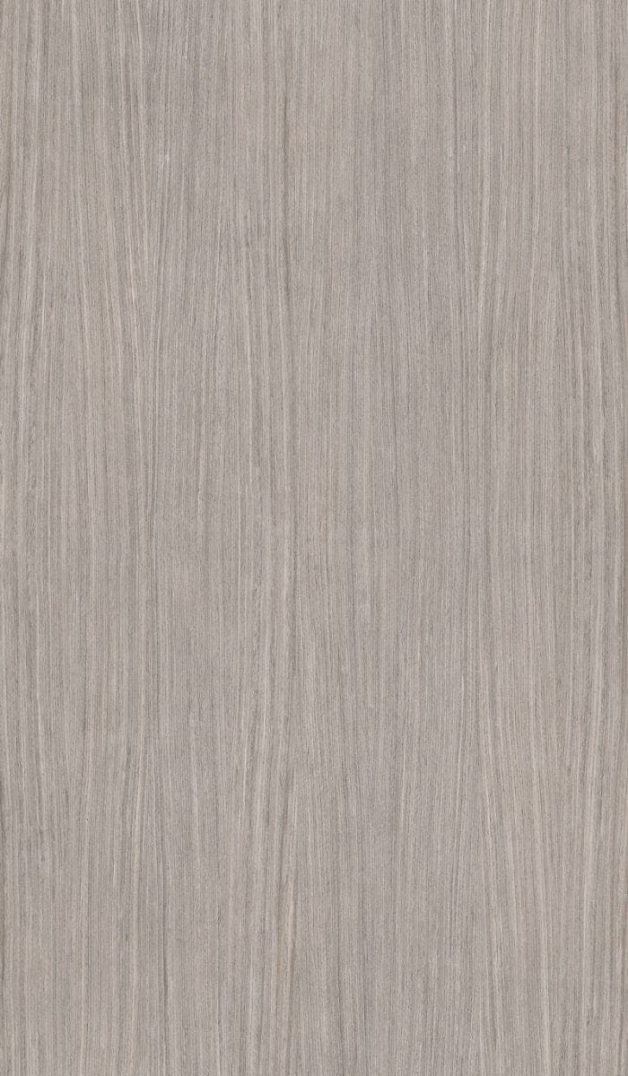 acacia