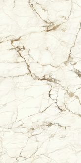 Calacatta Macchia Vecchia Swatch